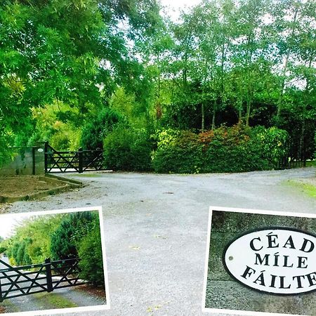 Bed and Breakfast Kingstown House Cashel  Exterior foto